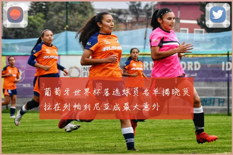 葡萄牙世界杯落选球员名单揭晓莫拉在列帕利尼亚成最大意外