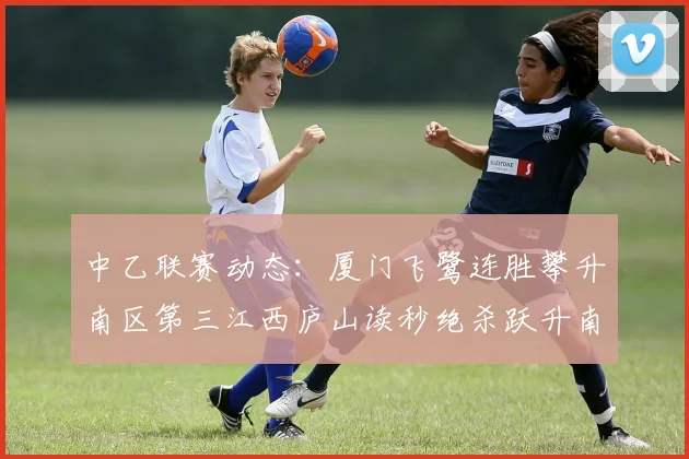 中乙联赛动态：厦门飞鹭连胜攀升南区第三江西庐山读秒绝杀跃升南区第四